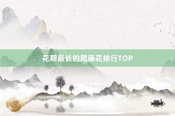花期最长的爬藤花排行TOP
